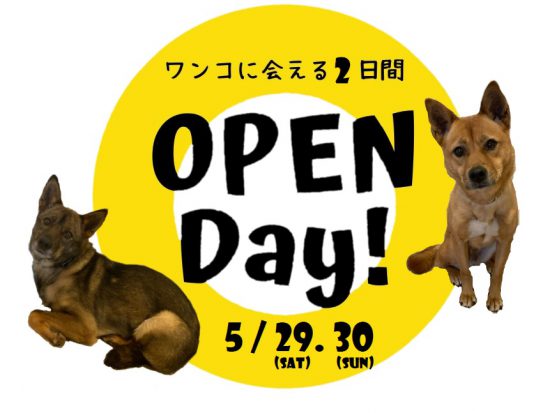 【ピースワンコの譲渡会】5/29(土)-30(日)「Open Day 第9弾」開催(あきる野譲渡センター) 1 0529 30 OPENDay9 e1620874637889
