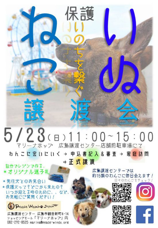 【ピースワンコの譲渡会】5/23(日)「会えるいぬねこ譲渡会」開催(広島譲渡センター) 2 441d2fb3458a99bac09967a692727ab9 e1620292914235