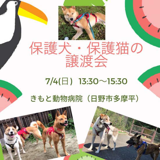 【ピースワンコの譲渡会】7/4(日)「保護犬・保護猫の譲渡会」参加(あきる野譲渡センター) 1 19b466cc7d91e758e4ef948e0b4ebc14 e1624418166865
