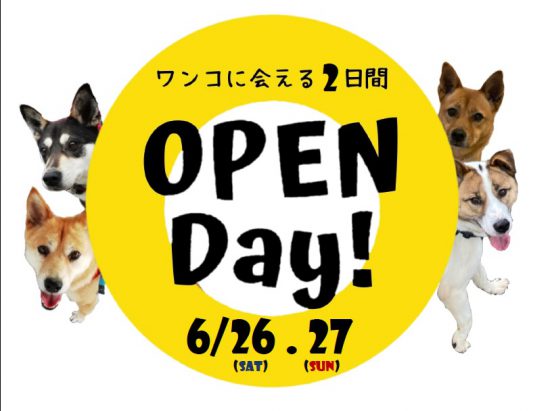 【ピースワンコの譲渡会】6/26(土)-27(日)「Open Day 第10弾」開催(あきる野譲渡センター) 1 bda8cd7fcdf25b3c7f30a856100086ed e1623311437774