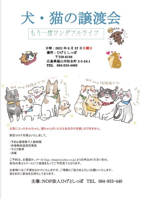 【ピースワンコの譲渡会】6/27(日)「犬・猫の譲渡会」に参加(福山) 2 f4be6c55c5cfc08cb92cb3b2d8fed43a e1623217427114