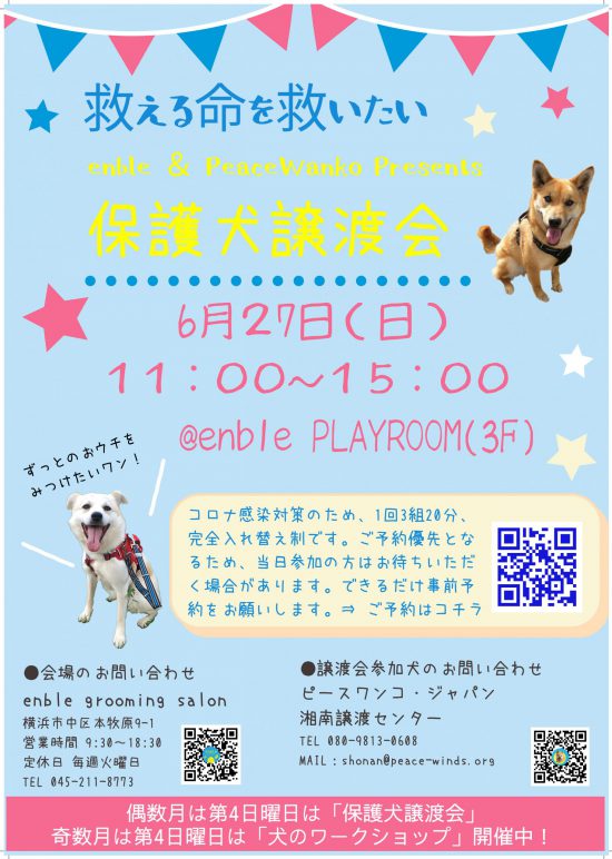 【ピースワンコの譲渡会】6/27(日)「enble 保護犬譲渡会」開催(神奈川) 2 ccec7c79145ec39cfcb948cefc014627 scaled e1623053112811