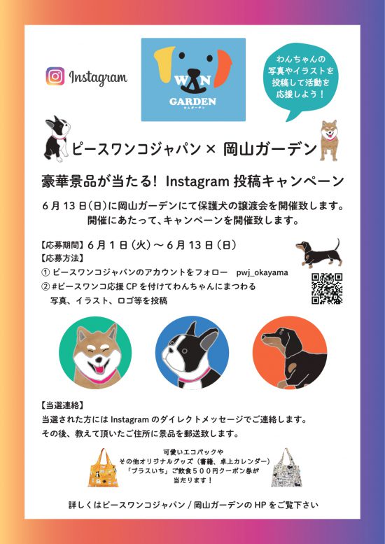 【ピースワンコの譲渡会】6/13(日)「わんガーデン」譲渡会に参加(岡山) 3 2b98dccd02c45762fae2bad599e35c78 e1622619280806