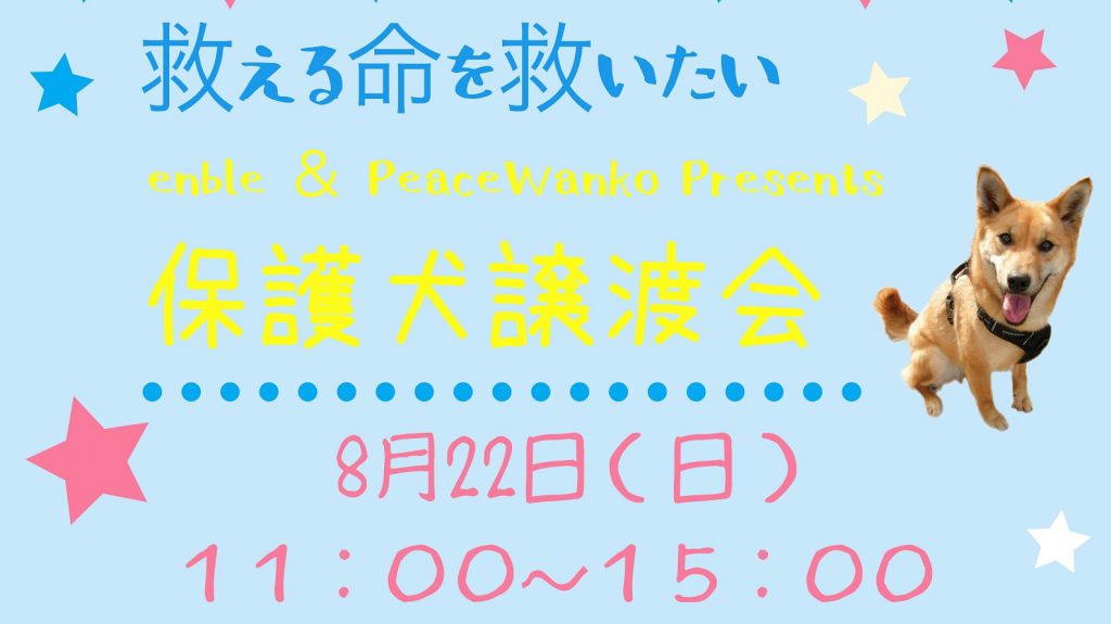 譲渡会・イベントのご案内 11 1d5f8c3234148a09c6067b624c527776