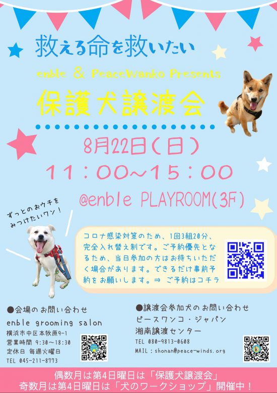 【ピースワンコの譲渡会】8/22(日)「enble 保護犬譲渡会」開催(神奈川) 8 98824b40c2d92f9f1833a87faa7c4dc7 e1627543336620