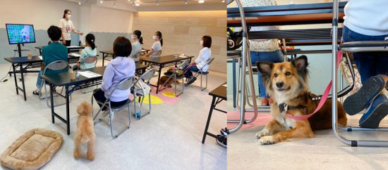 【ピースワンコのイベント】8/21(土)「enble犬のワークショップ」開催(神奈川) 1 6d72426fbffb3f9eb4568ba91e4df006 e1625121749254