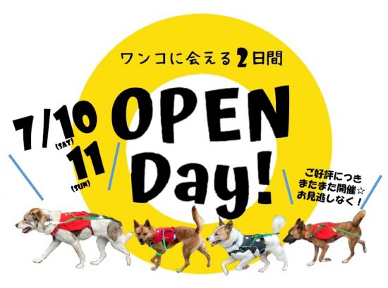 【ピースワンコの譲渡会】7/10(土)-11(日)「Open Day 第11弾」開催(あきる野譲渡センター) 1 c5eeae58f17c49ad7f562eb4a424faa9 e1625108185848