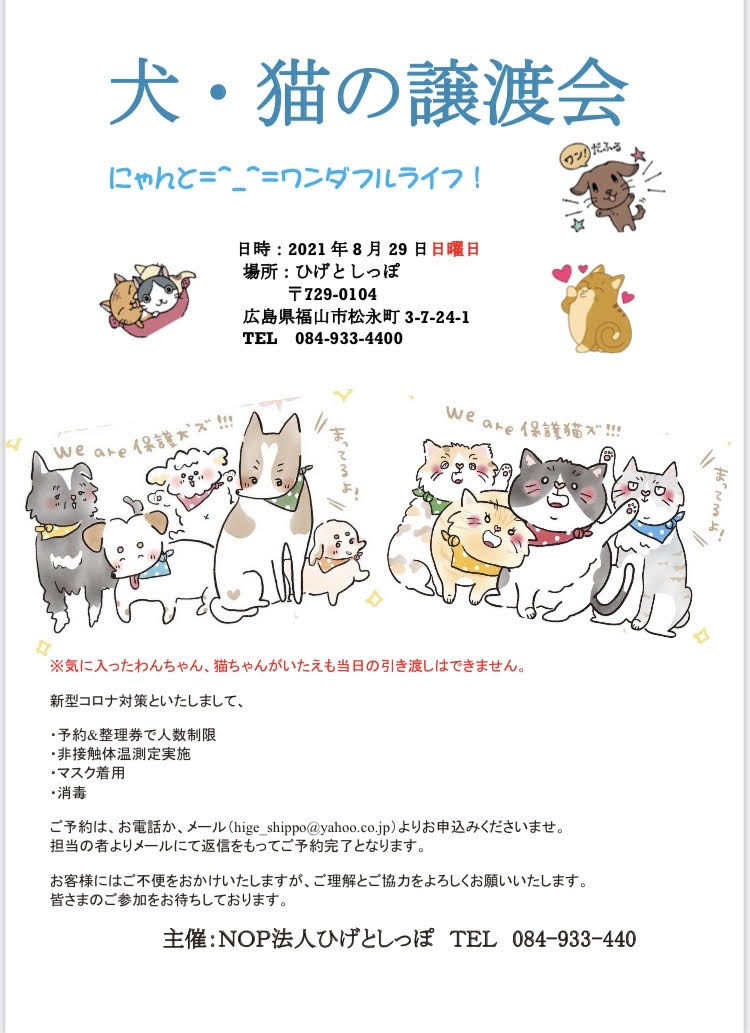 【ピースワンコの譲渡会】8/29(日)「ひげとしっぽ 犬・猫の譲渡会」に参加(福山) 1 3e3d1343e99781b43192325a189767b4