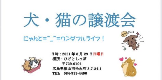 譲渡会・イベントのご案内 9 6d44081e7d5abf62d621583b360e574d e1629376390777