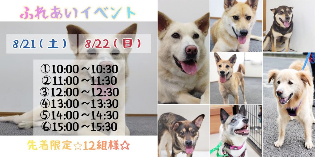 譲渡会・イベントのご案内 4 aca07fdc43dbd77b083f2632e5b02154