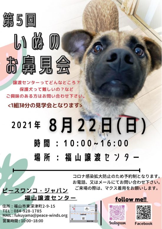 【ピースワンコのイベント】8/22(日) 「お鼻見会」開催(福山譲渡センター) 5 b636e35a02da70bf7b7414358c52fa3e e1627971043745