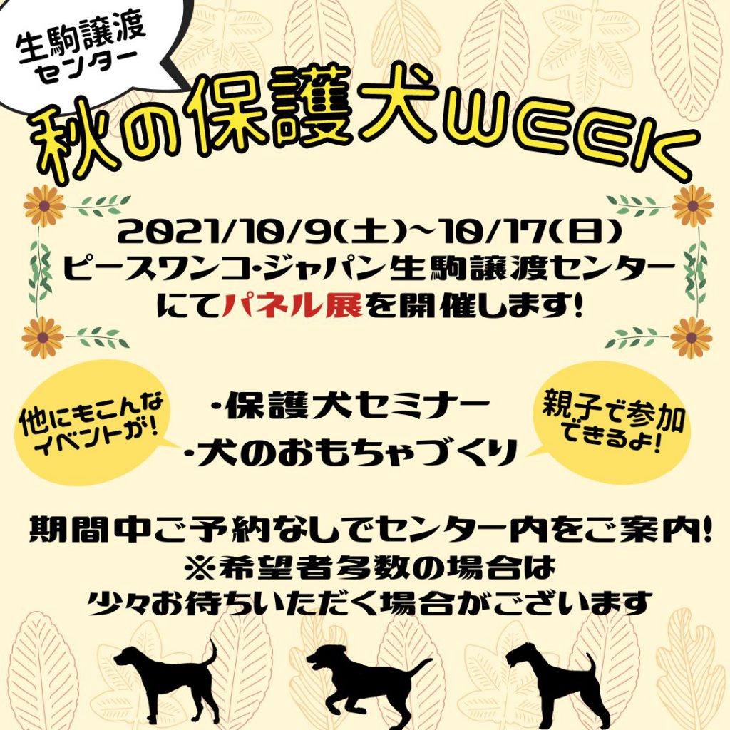 d14209854f4fa9ec08ab62c62a405193