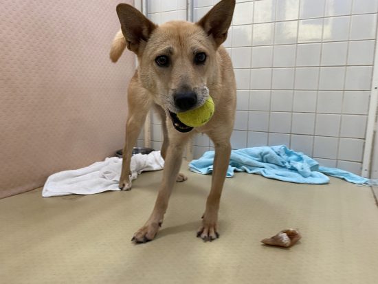 1c7172be71d72b2bf2dc0d4875af6bcb scaled e1630654637873