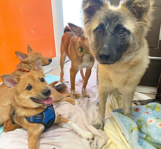 9a45aca585fabbafe6919dd3a05600d5 scaled e1630654542415