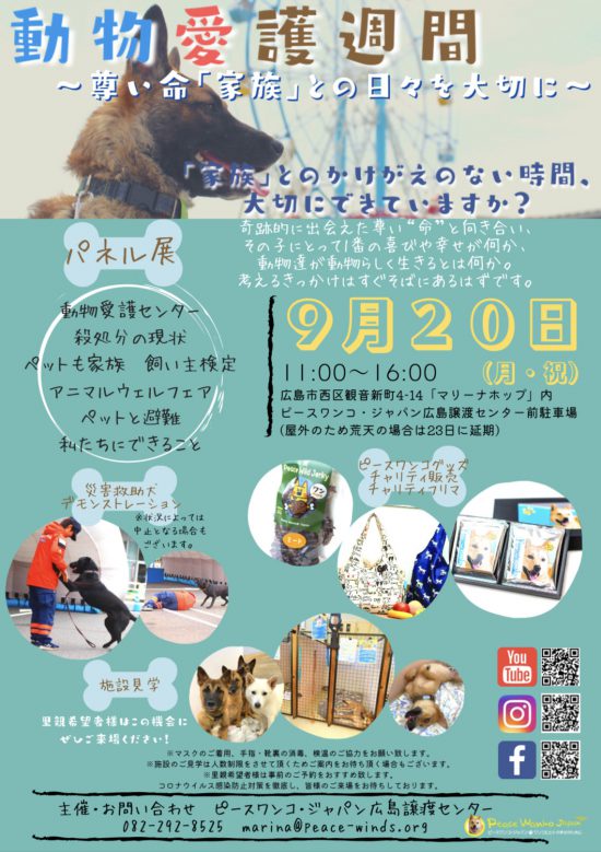 【ピースワンコの譲渡会】9/20(月・祝)「動物愛護週間~尊い命「家族」との日々を大切に~」開催(広島譲渡センター) 11 382cdca18519206c4c9bbffd8b0bb740 e1630653267668