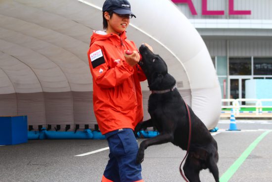 【ピースワンコの譲渡会】9/20(月・祝)「動物愛護週間~尊い命「家族」との日々を大切に~」開催(広島譲渡センター) 10 ac4f7a030a9f1facfaf7f68abed8007c scaled e1630653218649