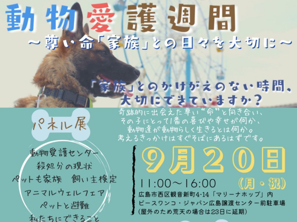 譲渡会・イベントのご案内 6 73612d3f90a6b8e7035e2d43bfc3cecc