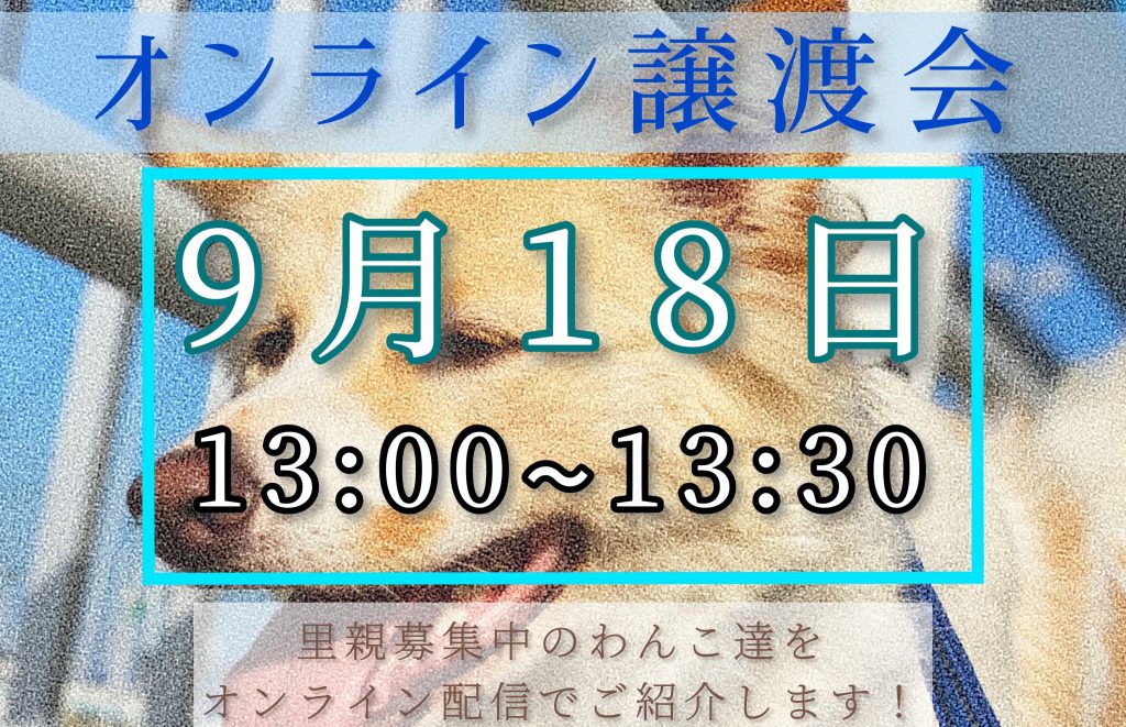 譲渡会・イベントのご案内 7 a039bbf837ec8302cb9c3230a8341647