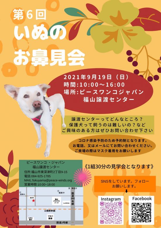 【ピースワンコのイベント】9/19(日) 「お鼻見会」開催(福山譲渡センター) 3 9d63e4ca716dc089d57f61eb79bc27d3 e1630546508847