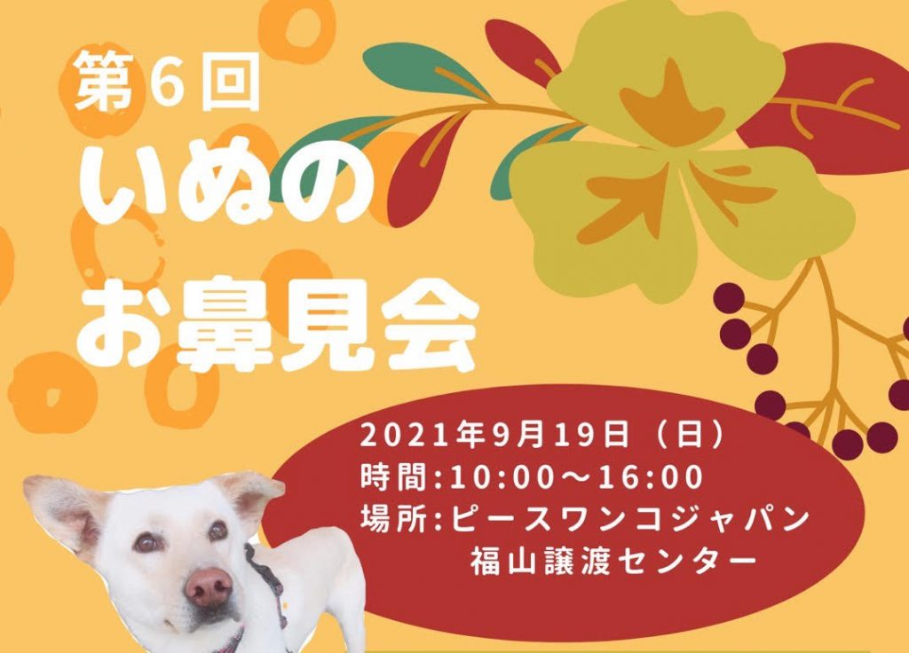 譲渡会・イベントのご案内 8 764da92867e4e051b14222a12c0af241