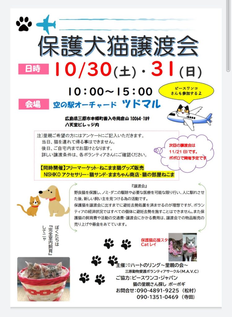 e1493f220c4fe704a0fabd2585f22f10 1