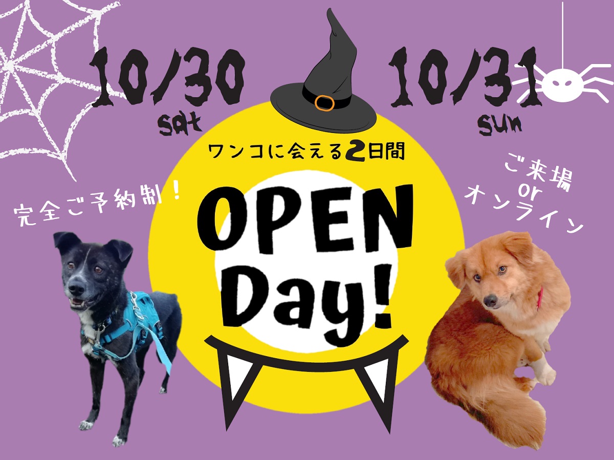 a465c8bbc53ebe04503dd1371f691a03 1