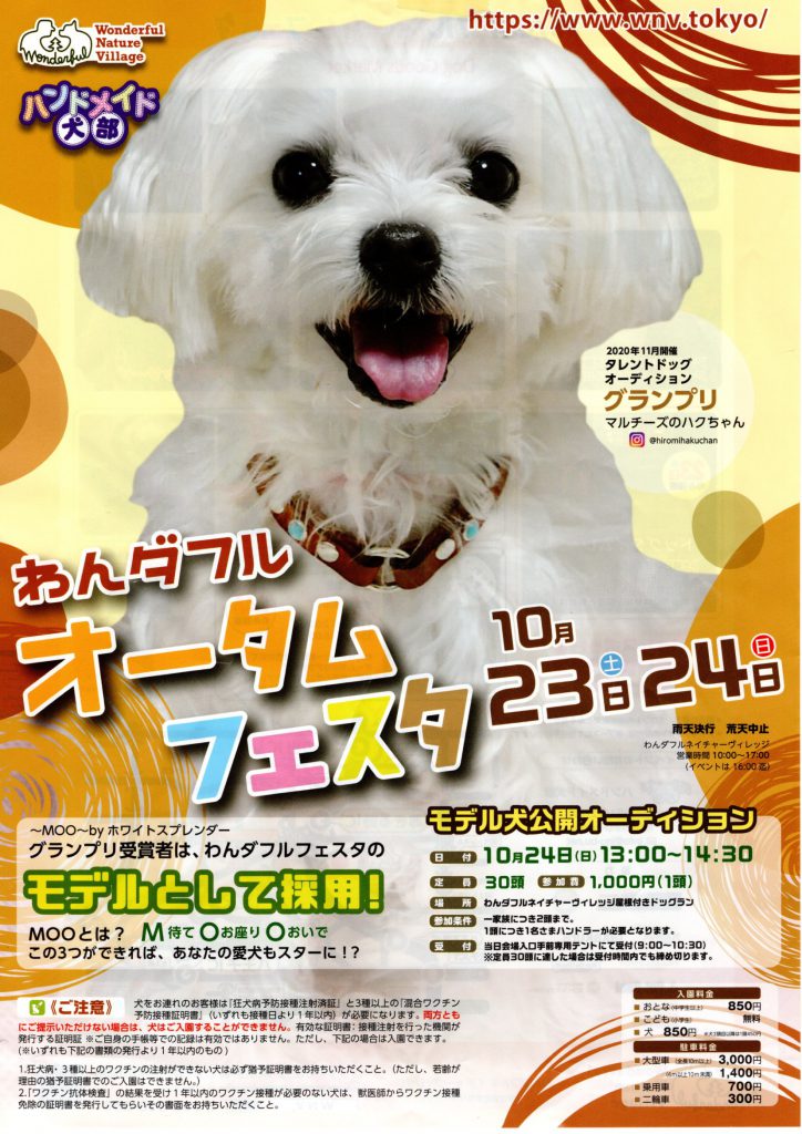 6f3b862e20fa5d8be2652b25a7ac1181