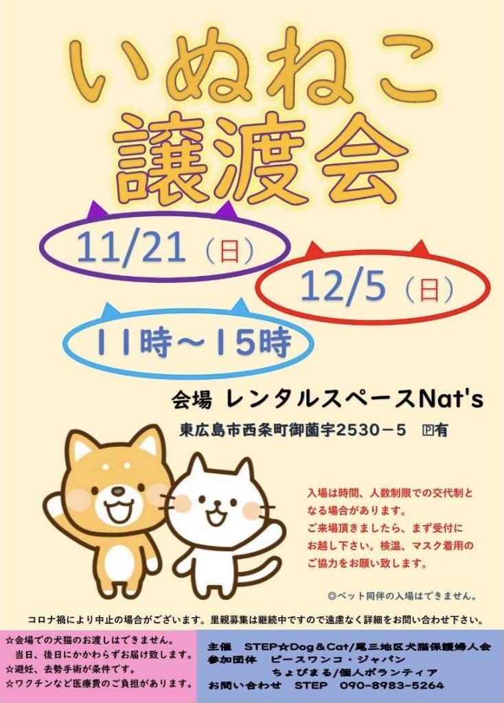 譲渡会・イベントのご案内 9 162a0ba78199c40b13212e09bfb751e5