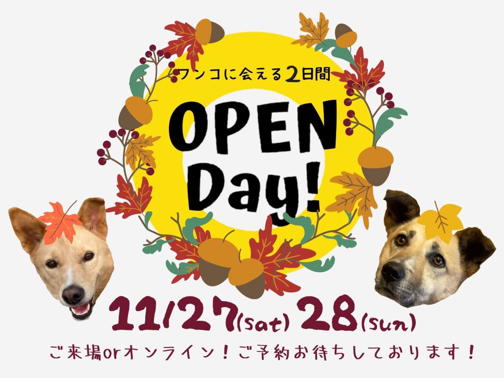 譲渡会・イベントのご案内 8 c360f4e64f0f61238987be1404d92f2d