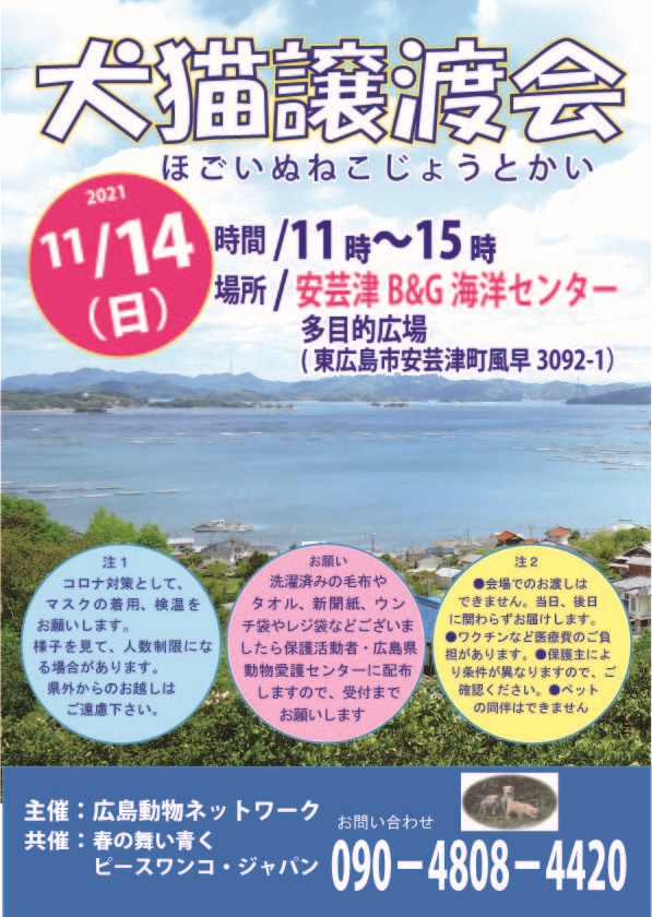 譲渡会・イベントのご案内 10 25b6720a759a5dc606eb46c3e77a7411