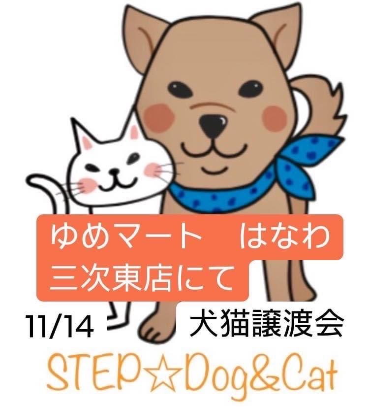 譲渡会・イベントのご案内 11 16e1d6d2928429c126d9344390ef81af