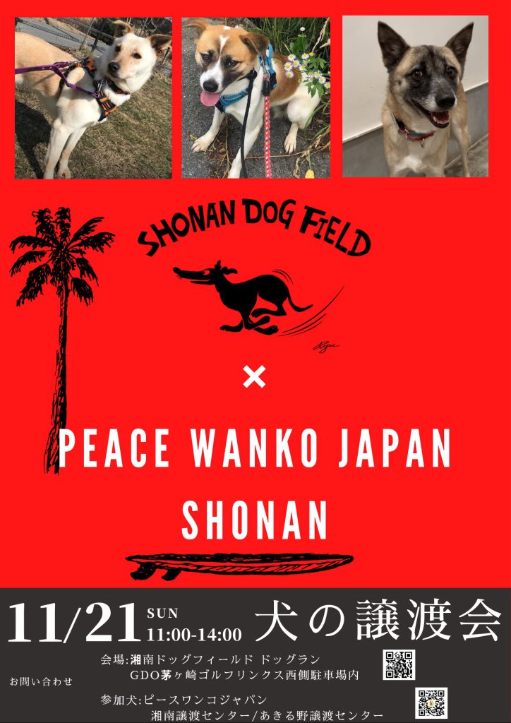 譲渡会・イベントのご案内 12 3ee4d01538797d42cf78e9cb77251704