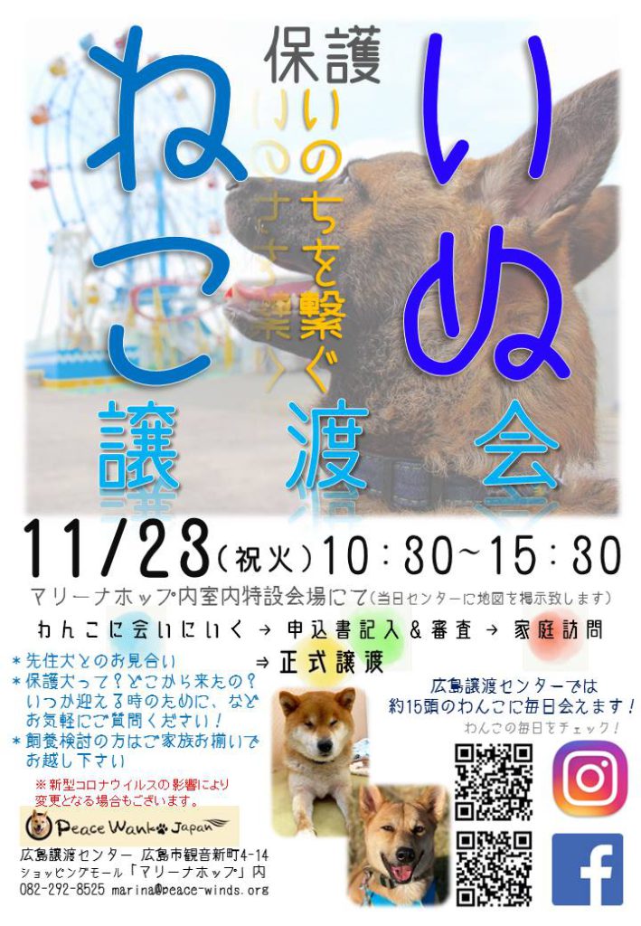 44607a27c51008d0d360f4a6d98732c1