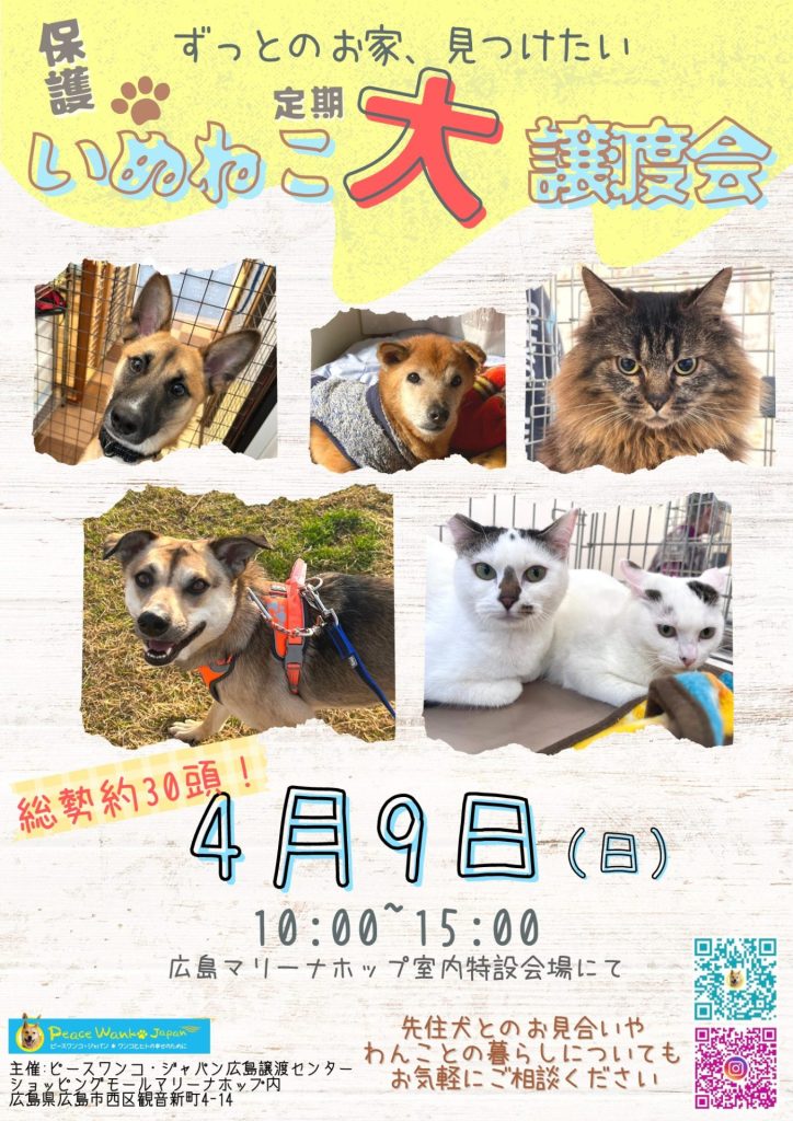 譲渡会・イベントのご案内 11 6B900B71 22CB 4731 9591 CB397570D32B