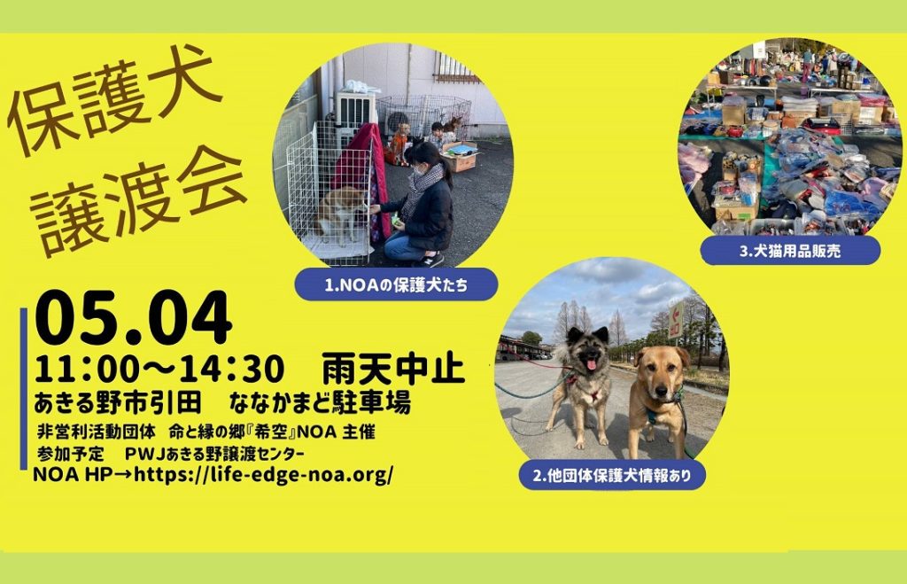 譲渡会・イベントのご案内 7 eyecatch2 1