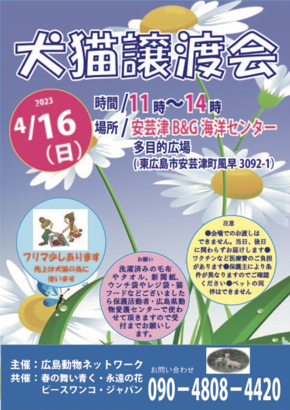 譲渡会・イベントのご案内 9 image0 24