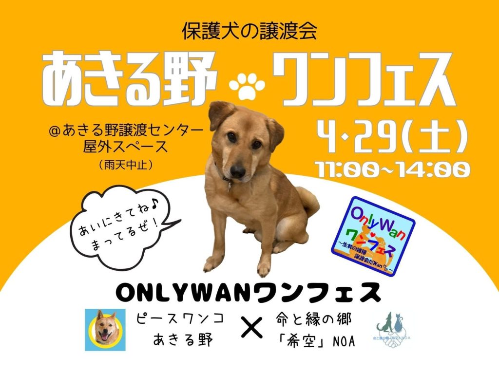 譲渡会・イベントのご案内 12 643075dfe728543f3416d3334dbe4a28