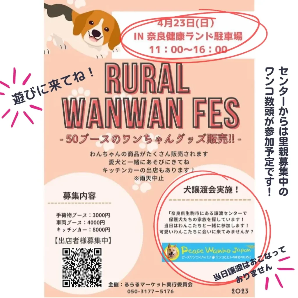 譲渡会・イベントのご案内 4 IMG 20230405 173242 362