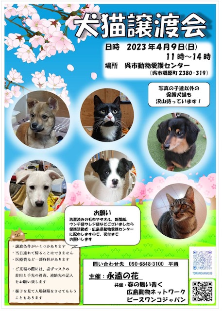 譲渡会・イベントのご案内 5 image0 17