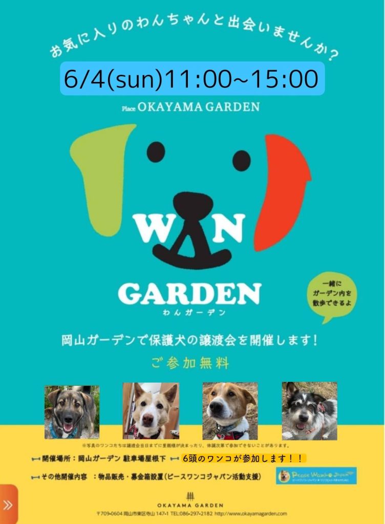 譲渡会・イベントのご案内 10 070d98fad11f44dec840314975655263