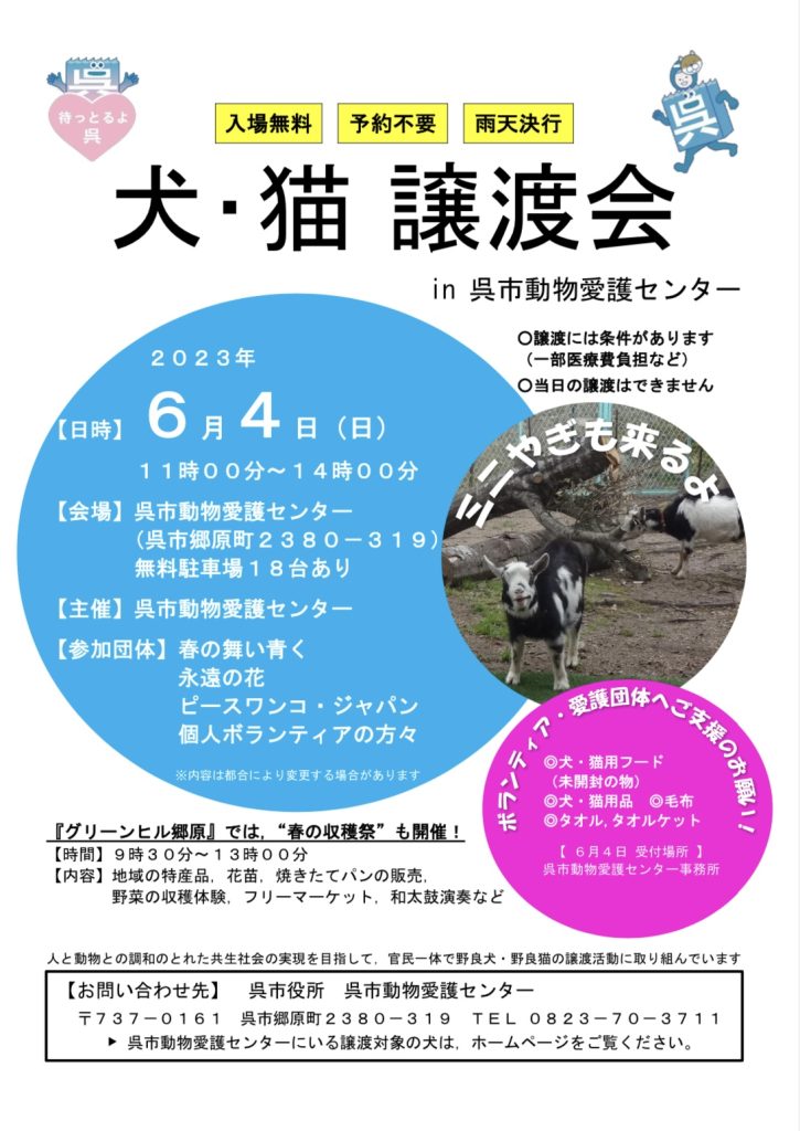 譲渡会・イベントのご案内 8 9CEC2AC5 017D 4B02 80AB 3CDE9FAB27F3