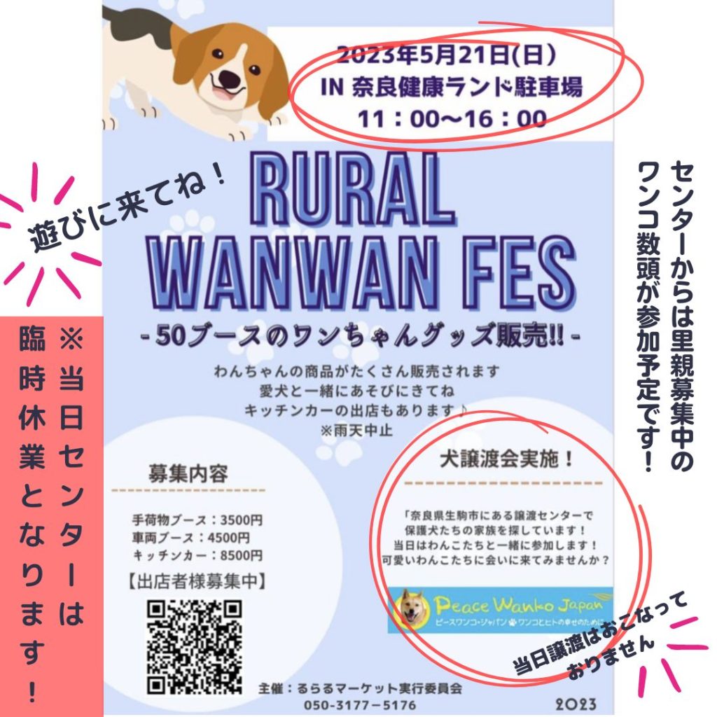 譲渡会・イベントのご案内 10 257055dc0e8bccc850fe0b06c9978bce