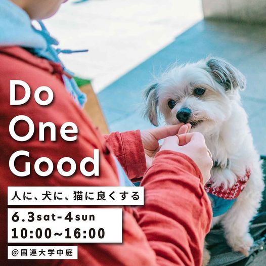 譲渡会・イベントのご案内 5 b0ab0e86e95df60c32e7170d9ac468ea