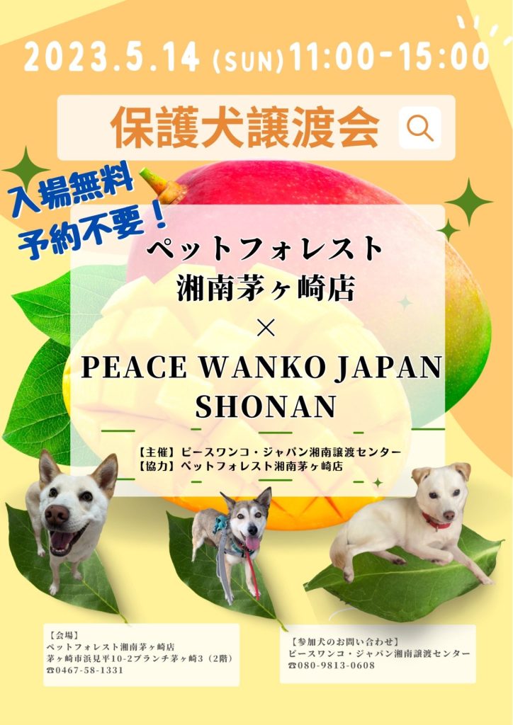 譲渡会・イベントのご案内 1 00825b747cb67952521101760f983afe 1