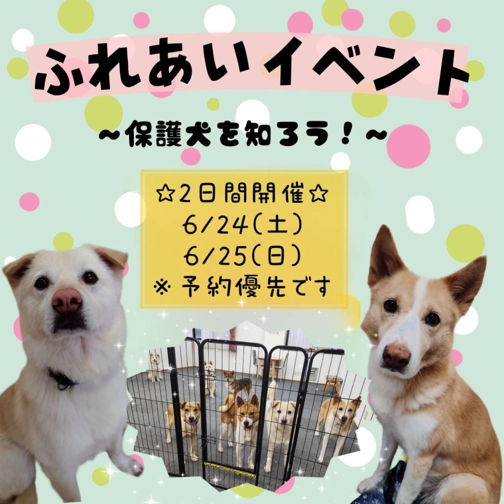 譲渡会・イベントのご案内 6 d739d8e415204bd15f6d56e496071675