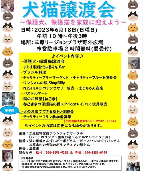 譲渡会・イベントのご案内 10 image0 29