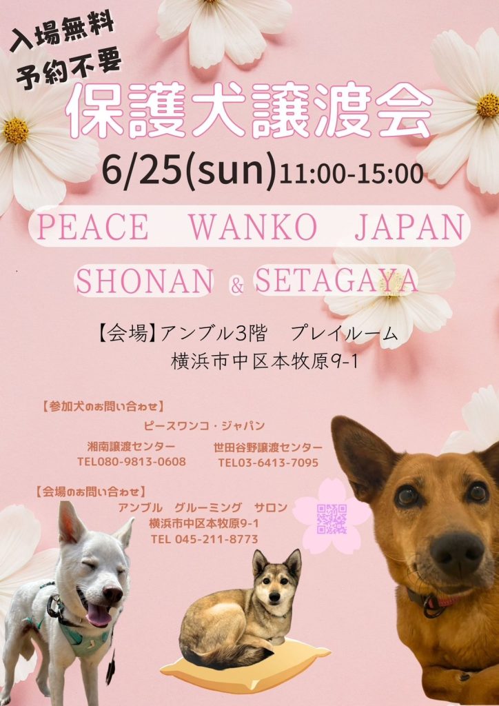 譲渡会・イベントのご案内 8 458493136651157569 1