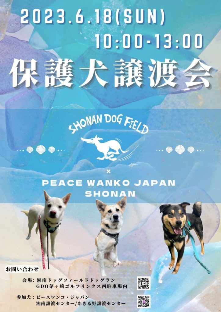 譲渡会・イベントのご案内 11 94D17657 5B28 43CB B271 1D7C0C09880A 1