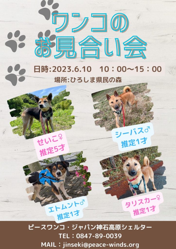 譲渡会・イベントのご案内 4 png 20230606 142122 0000