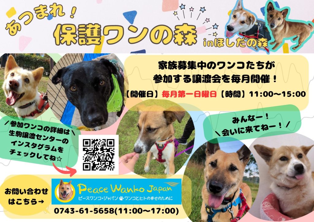 譲渡会・イベントのご案内 6 ce97c2c99ec336e0a5e3717381a8dc52